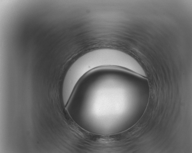 X0000071770556200607150031