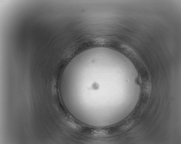 X0000071770557200607150031