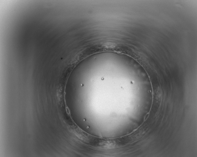 X0000071770559200607150031