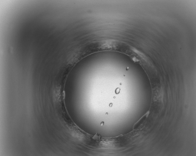 X0000071770560200607150031