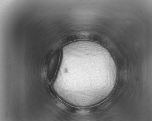 X0000071770561200607150031