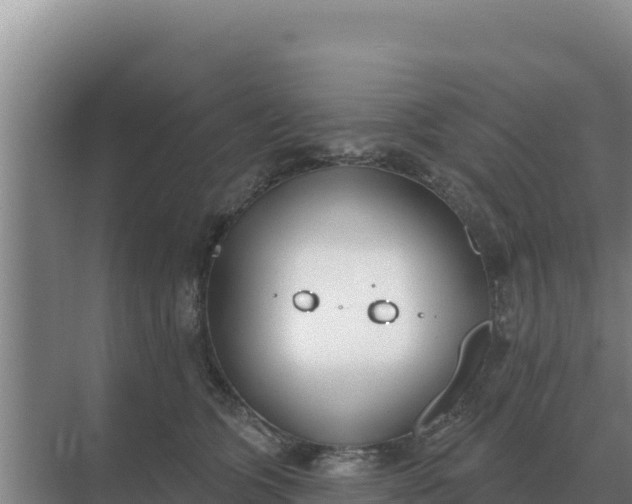 X0000071770563200607150031