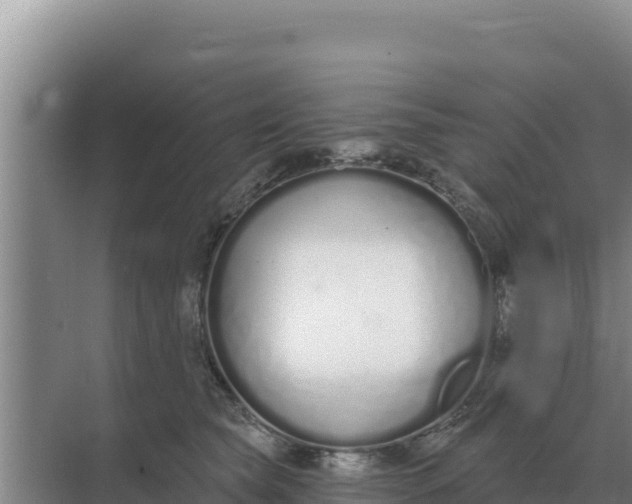 X0000071770565200607150031