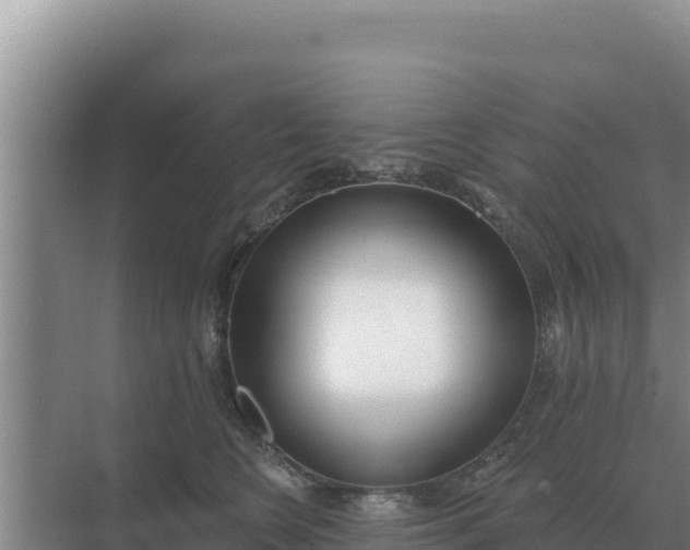 X0000071770566200607150031