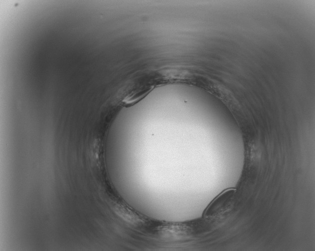 X0000071770567200607150031