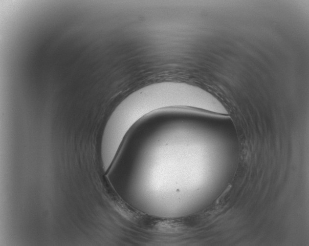 X0000071770568200607150031