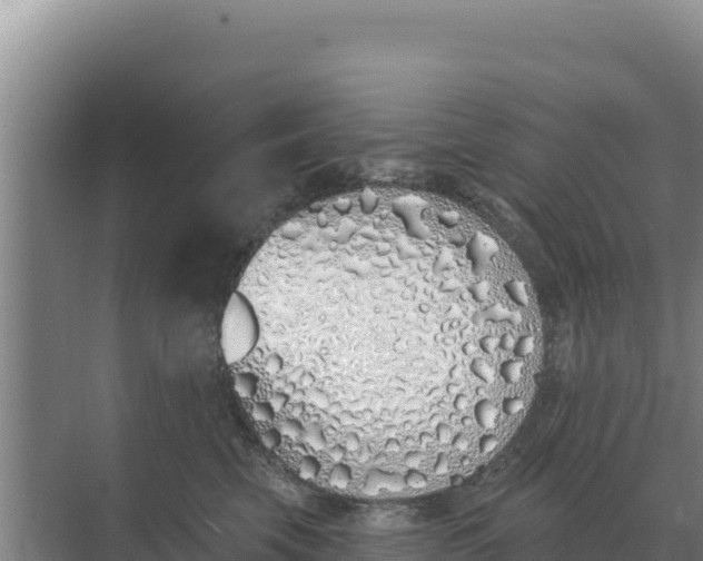 X0000071770569200607150031