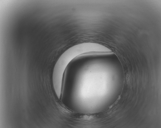 X0000071770570200607150031