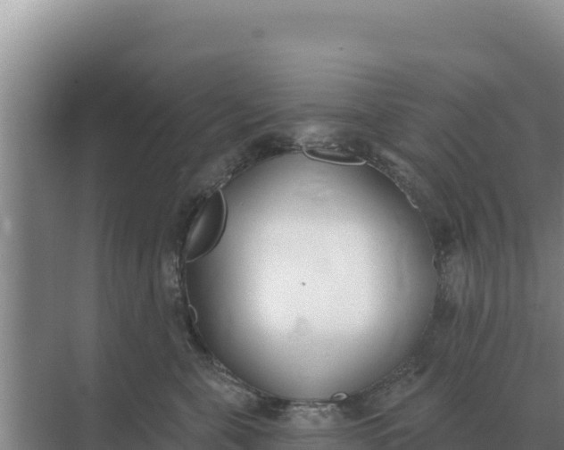 X0000071770571200607150031