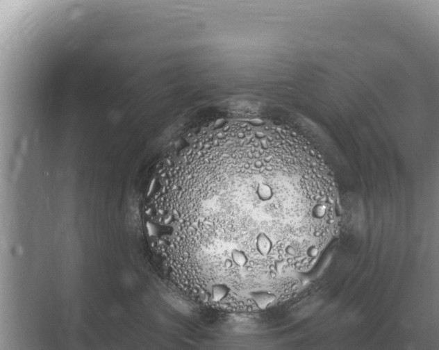 X0000071770573200607150031