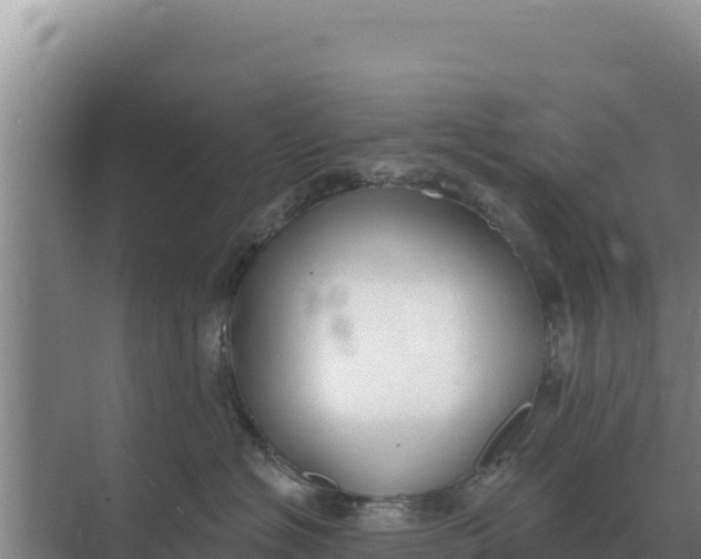 X0000071770574200607150031