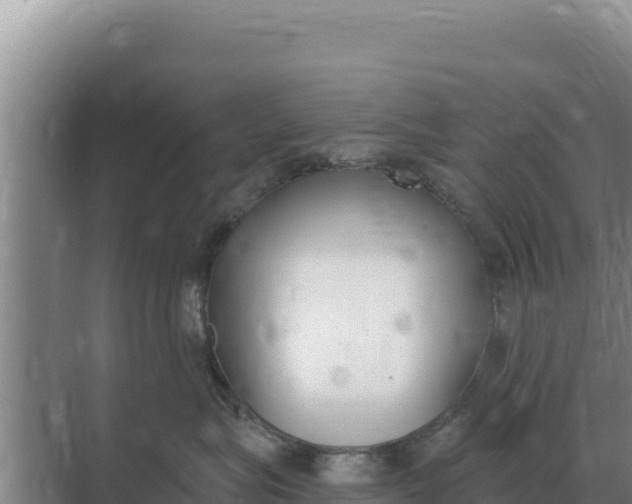 X0000071770575200607150031