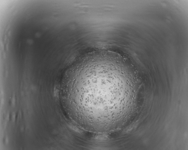 X0000071770576200607150031