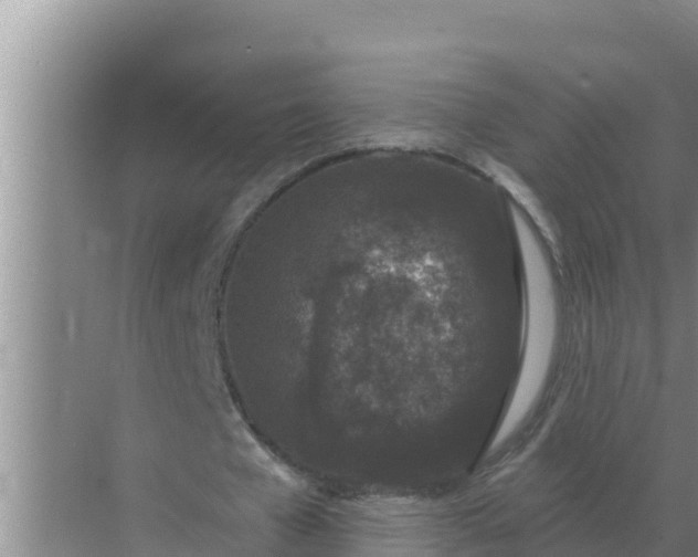 X0000071770577200607150031