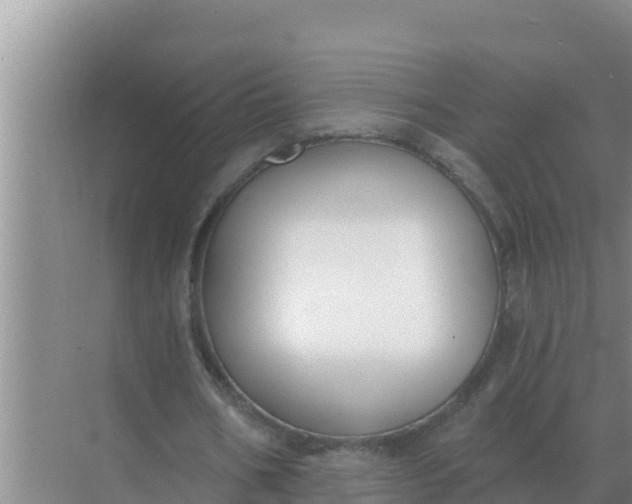 X0000071770578200607150031