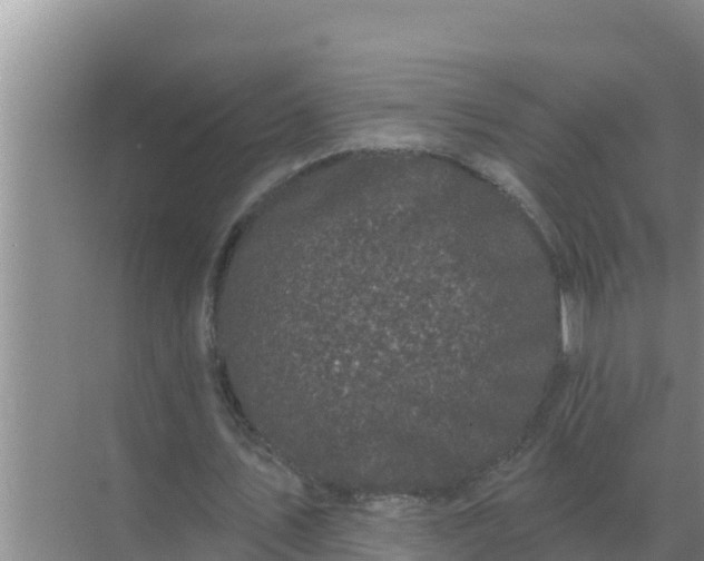 X0000071770579200607150030