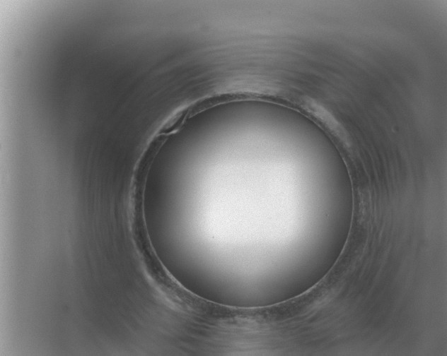 X0000071770580200607150030