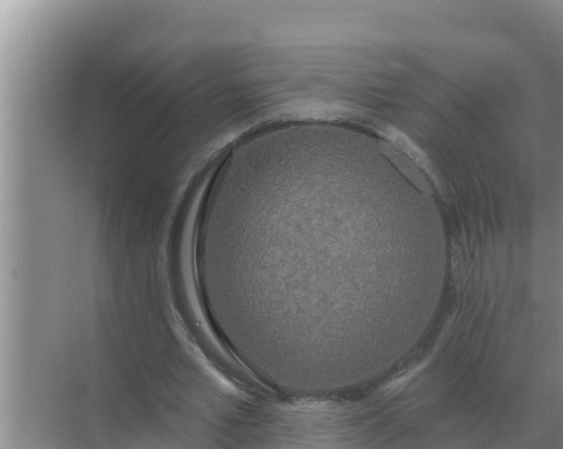 X0000071770581200607150030