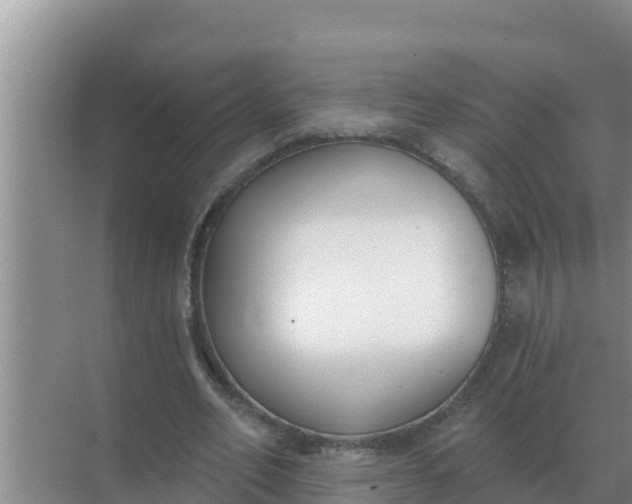 X0000071770582200607150030