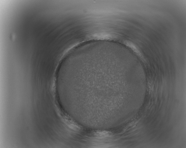 X0000071770583200607150030