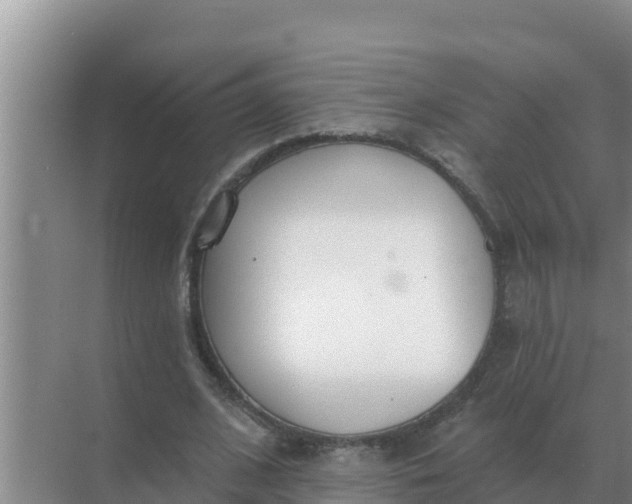 X0000071770584200607150030