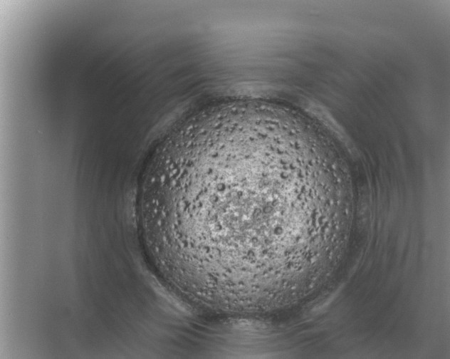 X0000071770585200607150030