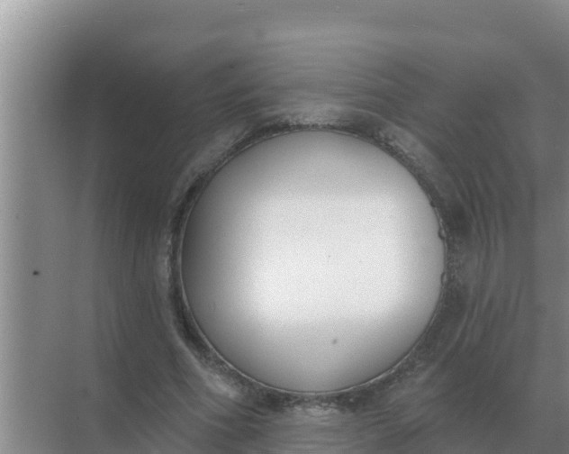 X0000071770586200607150030