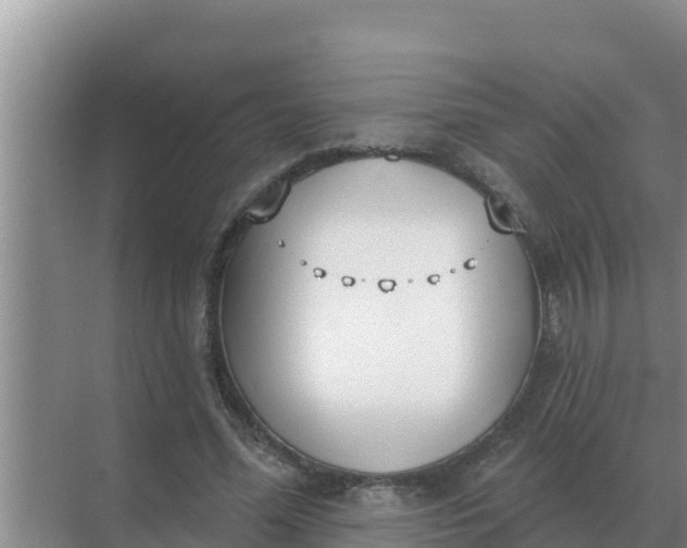 X0000071770588200607150030