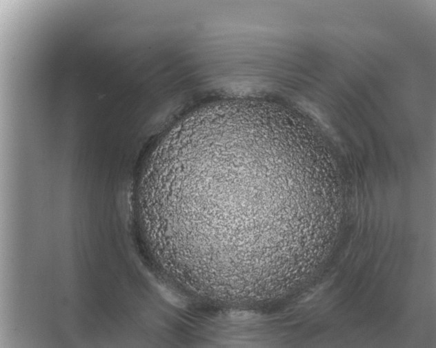 X0000071770590200607150030