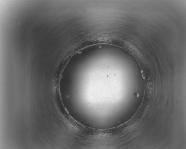 X0000071770593200607150030