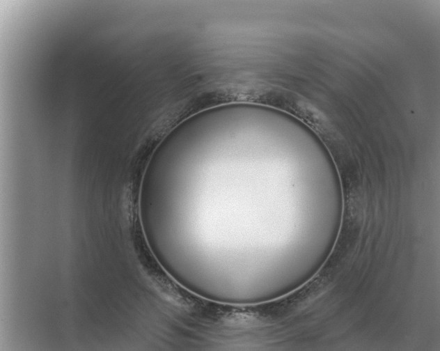 X0000071770594200607150030