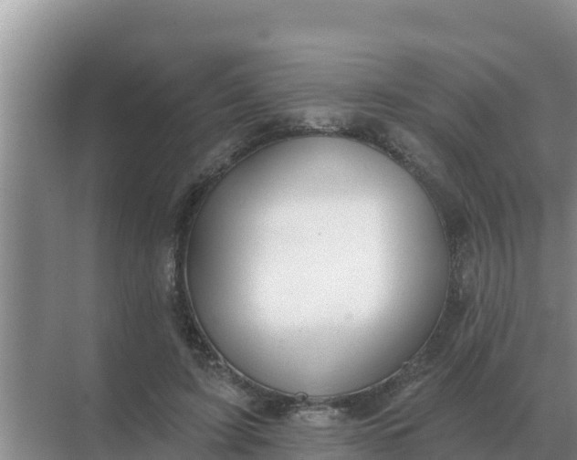 X0000071770595200607150030