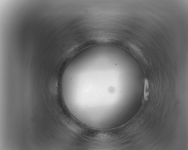 X0000071770596200607150030