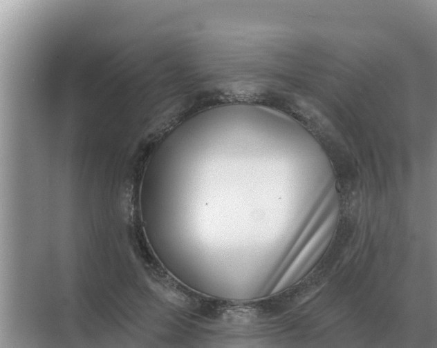 X0000071770599200607150030