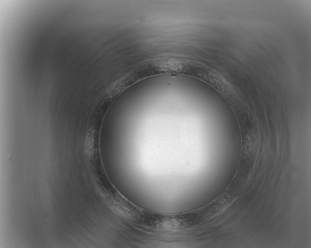 X0000071770600200607150030