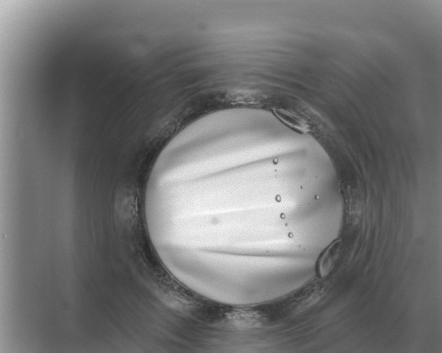 X0000071770603200607150030