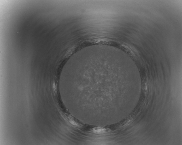 X0000071770607200607150030