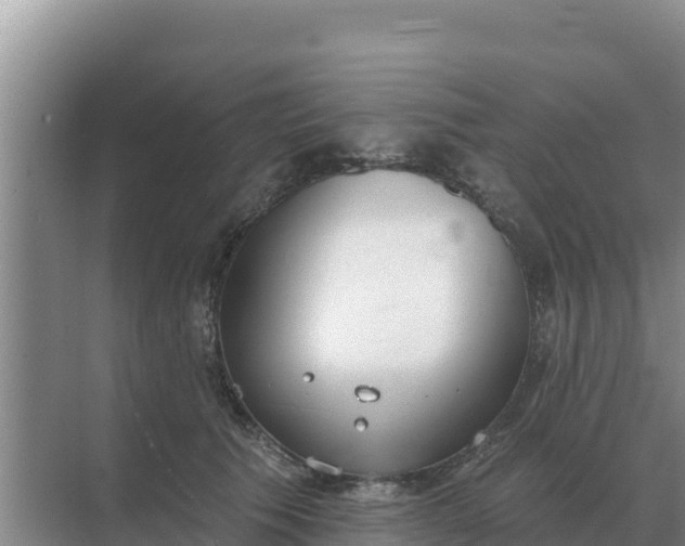 X0000071770609200607150030