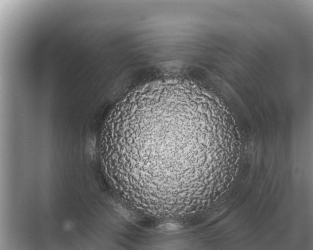 X0000071770610200607150030