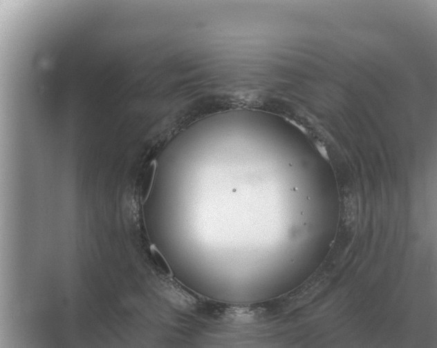 X0000071770613200607150030