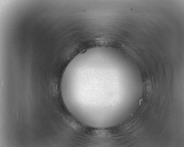 X0000071770615200607150030