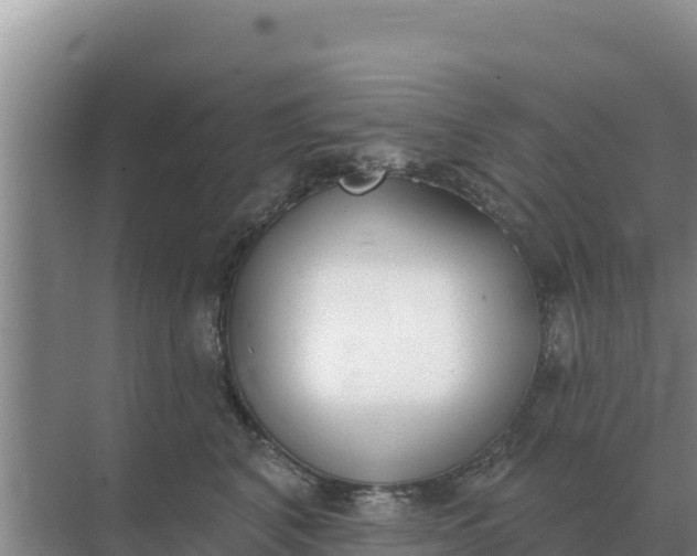 X0000071770616200607150030