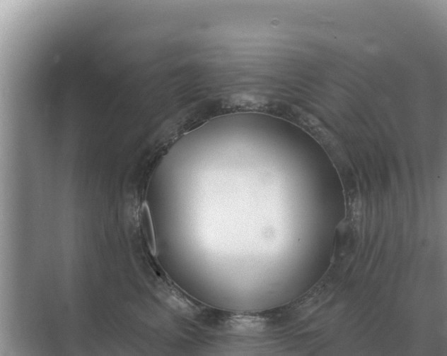 X0000071770617200607150030