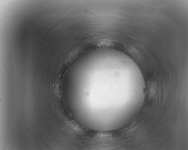 X0000071770619200607150030