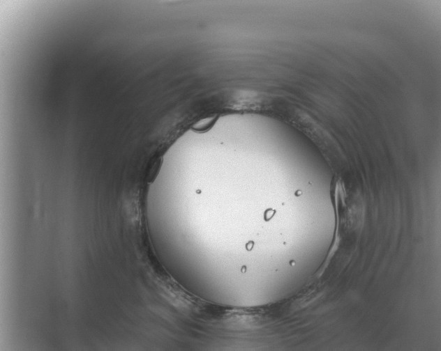 X0000071770620200607150030