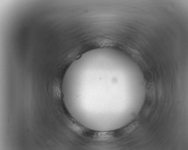 X0000071770622200607150030