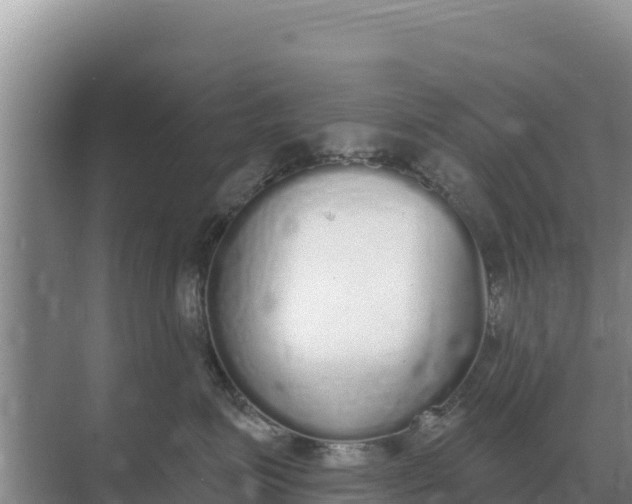 X0000071770623200607150030