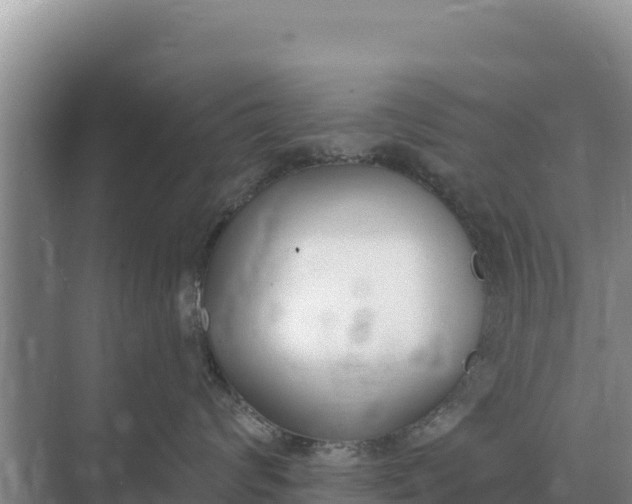 X0000071770624200607150030