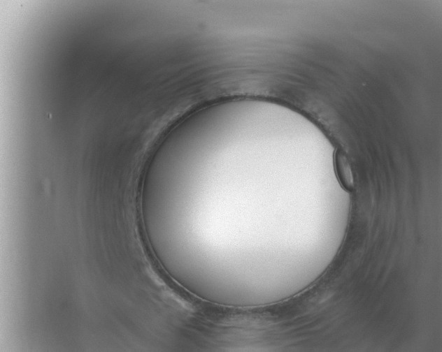 X0000071770625200607150029