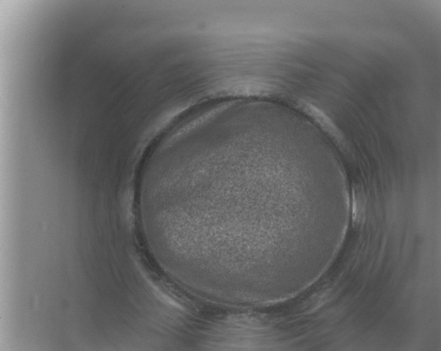 X0000071770627200607150029